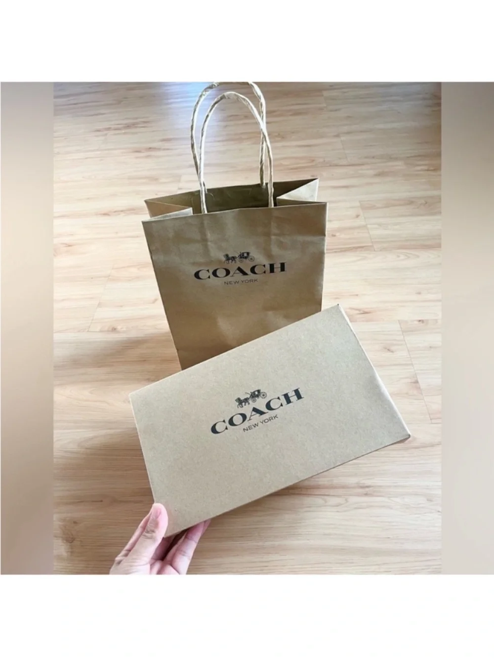 Coach shopping bag + Gift Box (Small size)